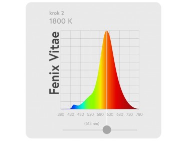 Nabíjecí čelovka Fenix Vitae